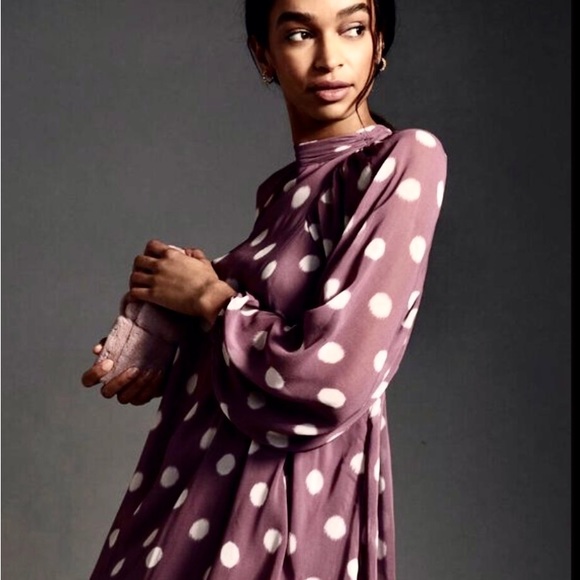 Sold .Anthropologie long sleeve Sheer Dress NWT - Picture 1 of 16